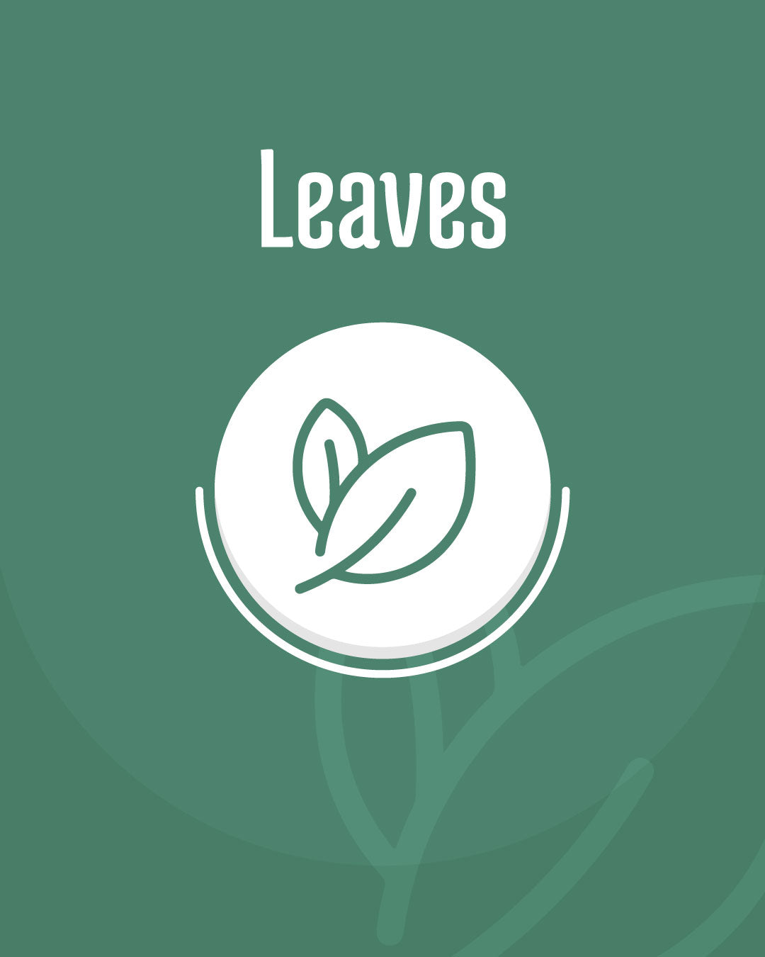 Leaves
