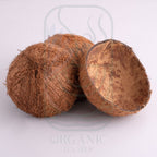 Coconut shells