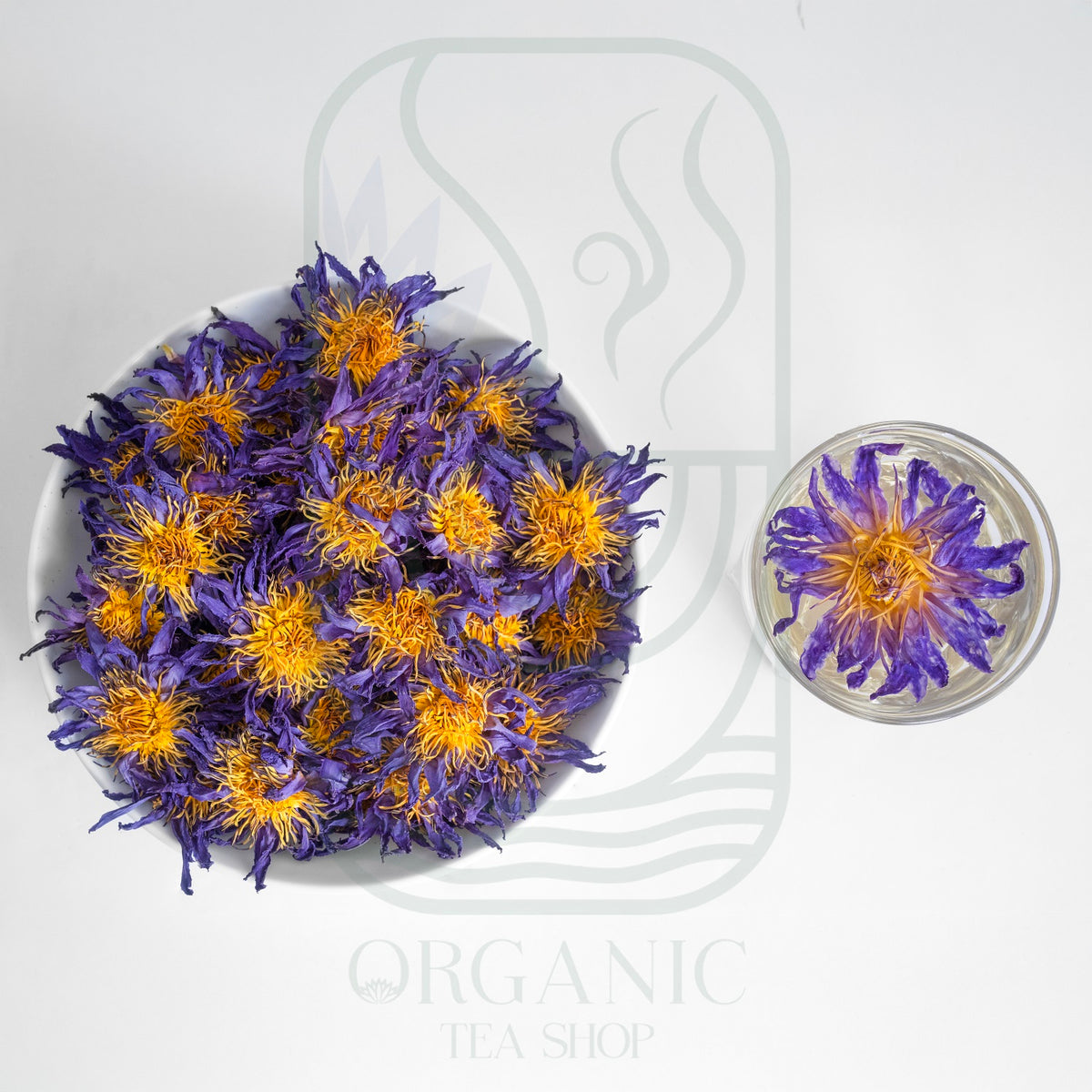 Dried Blue Lotus Flowers (Nymphaea caerulea) for Herbal Infusions