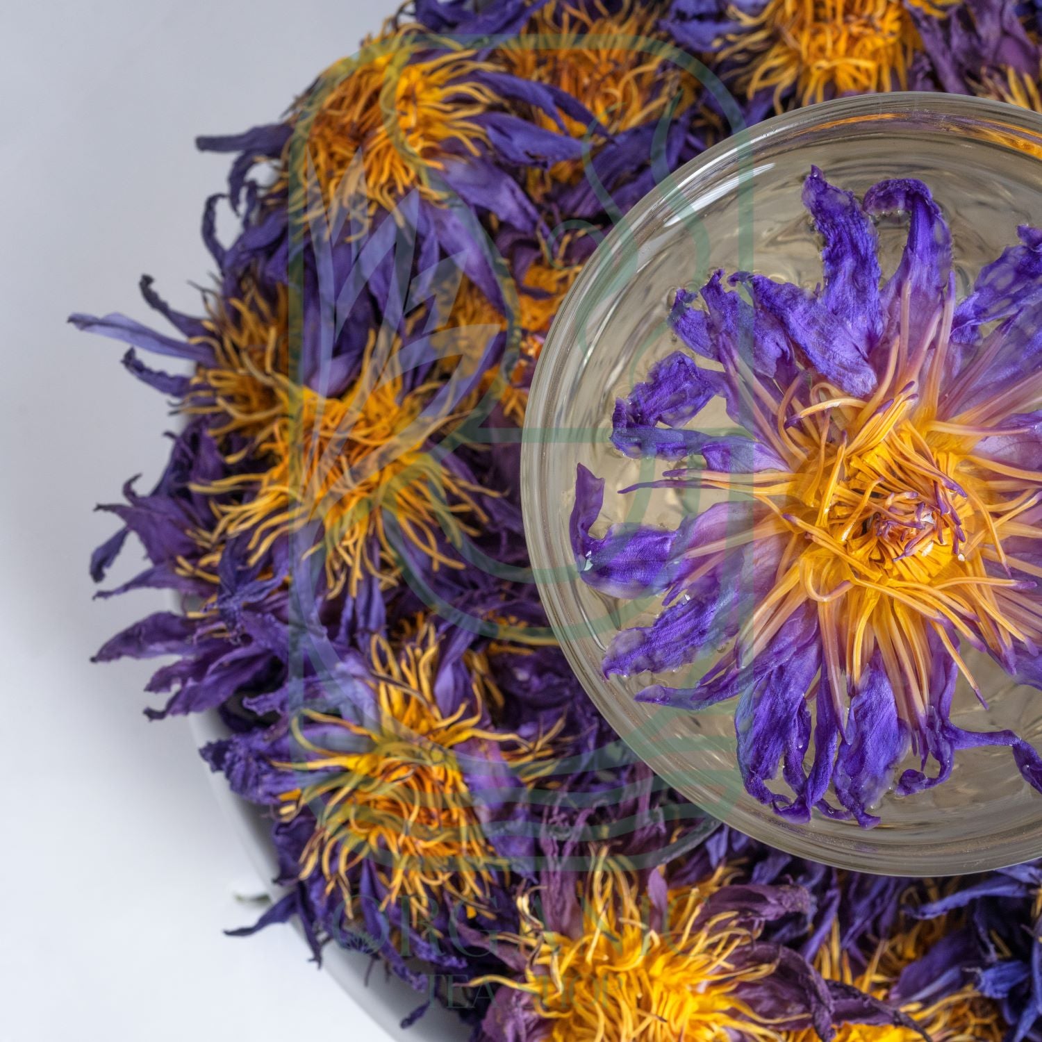 Authentic Blue Lotus Flowers (Nymphaea caerulea) – Premium Dried Whole Flowers