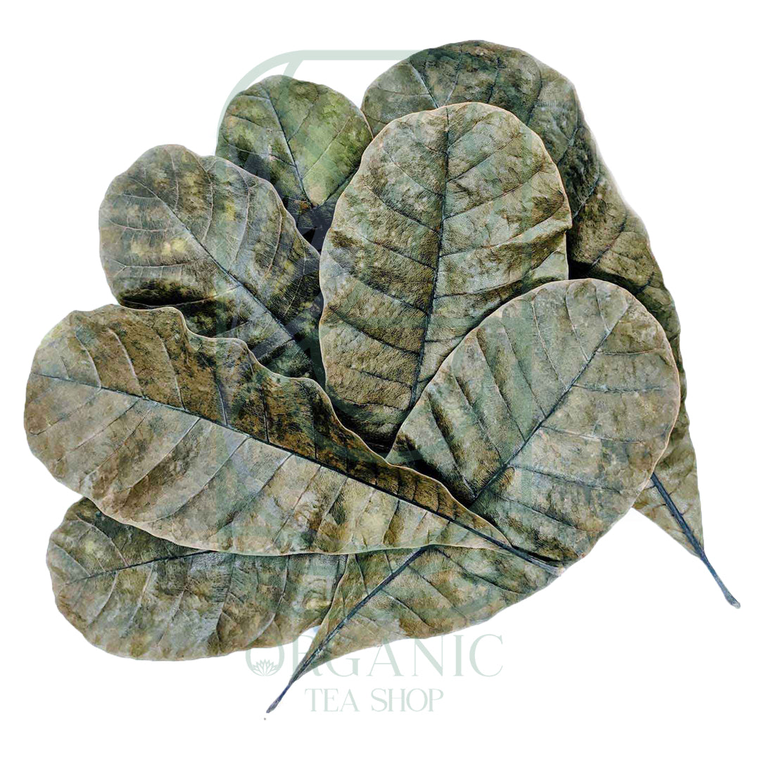 Dried Cashew Leaves (Anacardium occidentale) – Premium Leaves from Sri Lanka