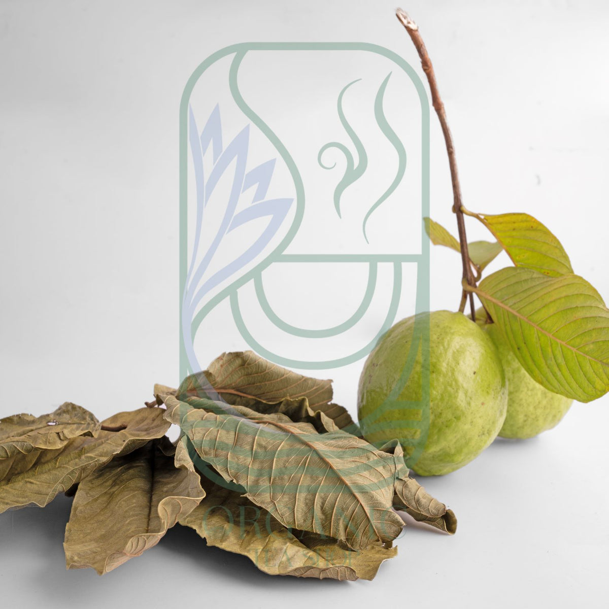Natural Guava Leaves for Herbal Infusions
