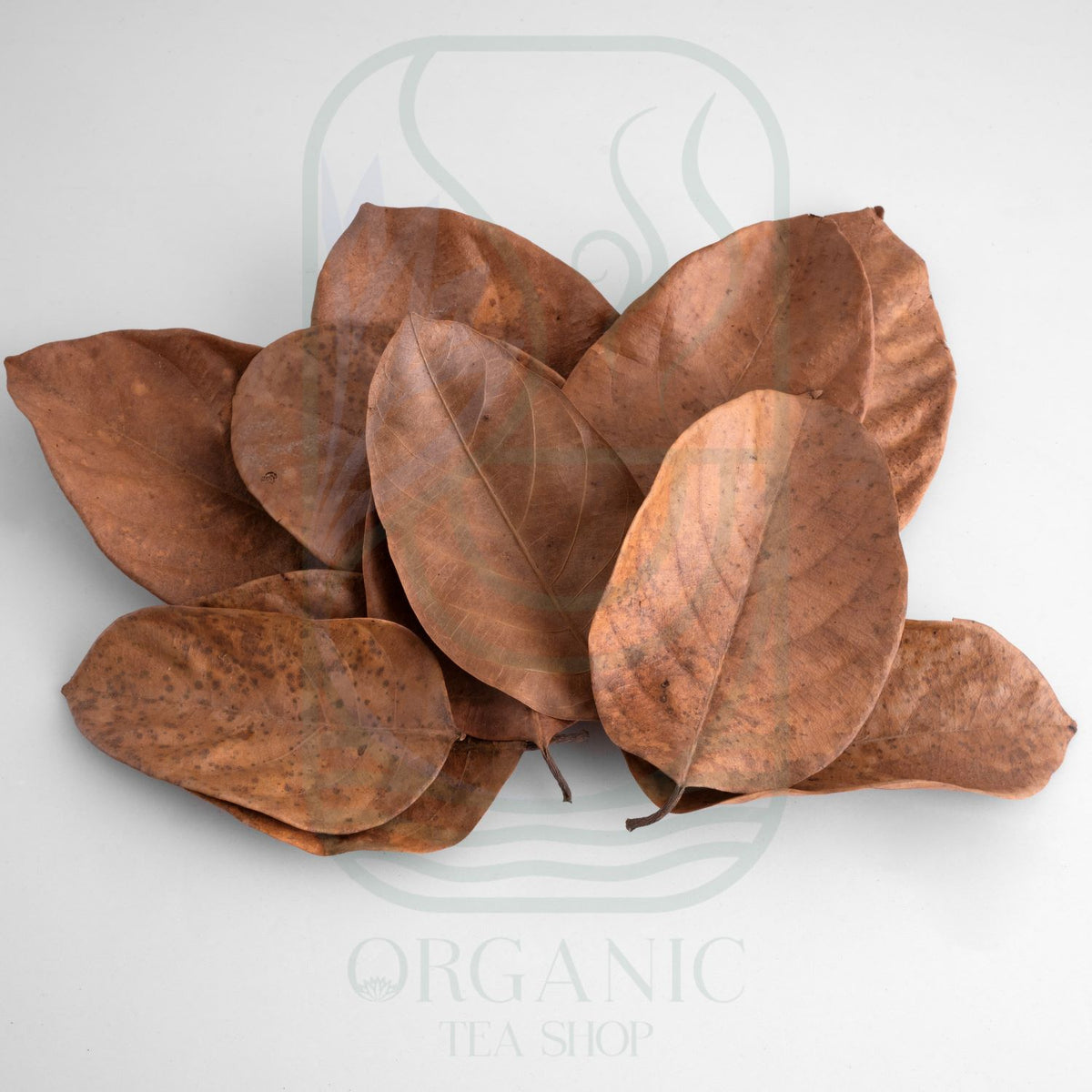 Natural dried jackfruit leaves for shrimp, betta, and blackwater aquariums