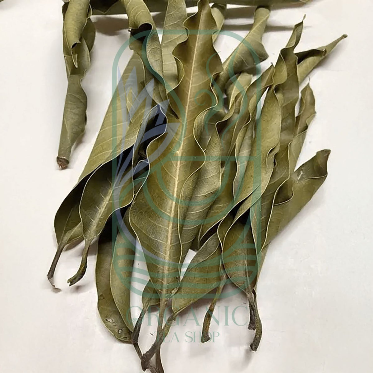 Dried Mango Leaves (Mangifera indica) – Premium Leaves from Sri Lanka