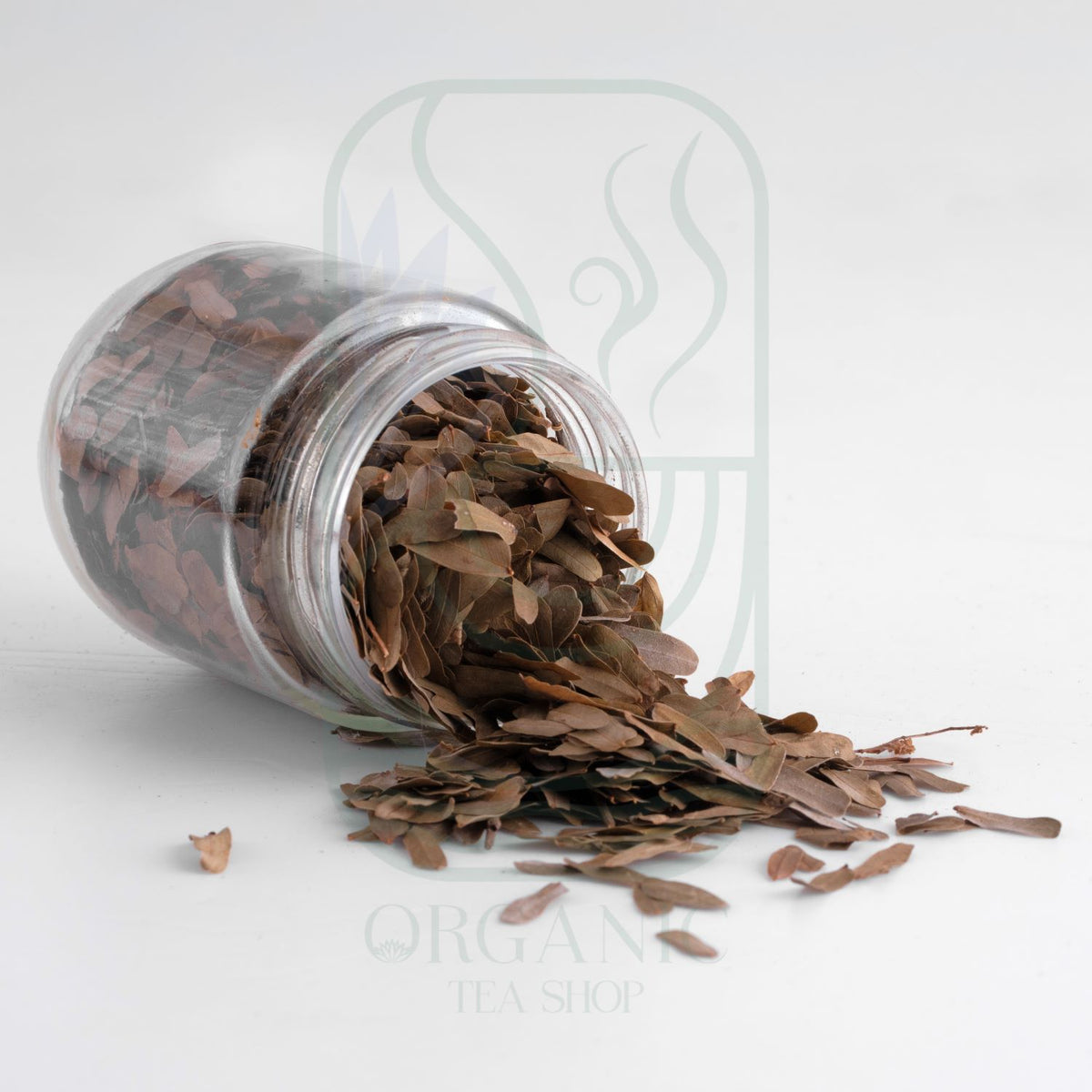 Dried Tamarind Leaves (Tamarindus indica) – Premium Leaves from Sri Lanka