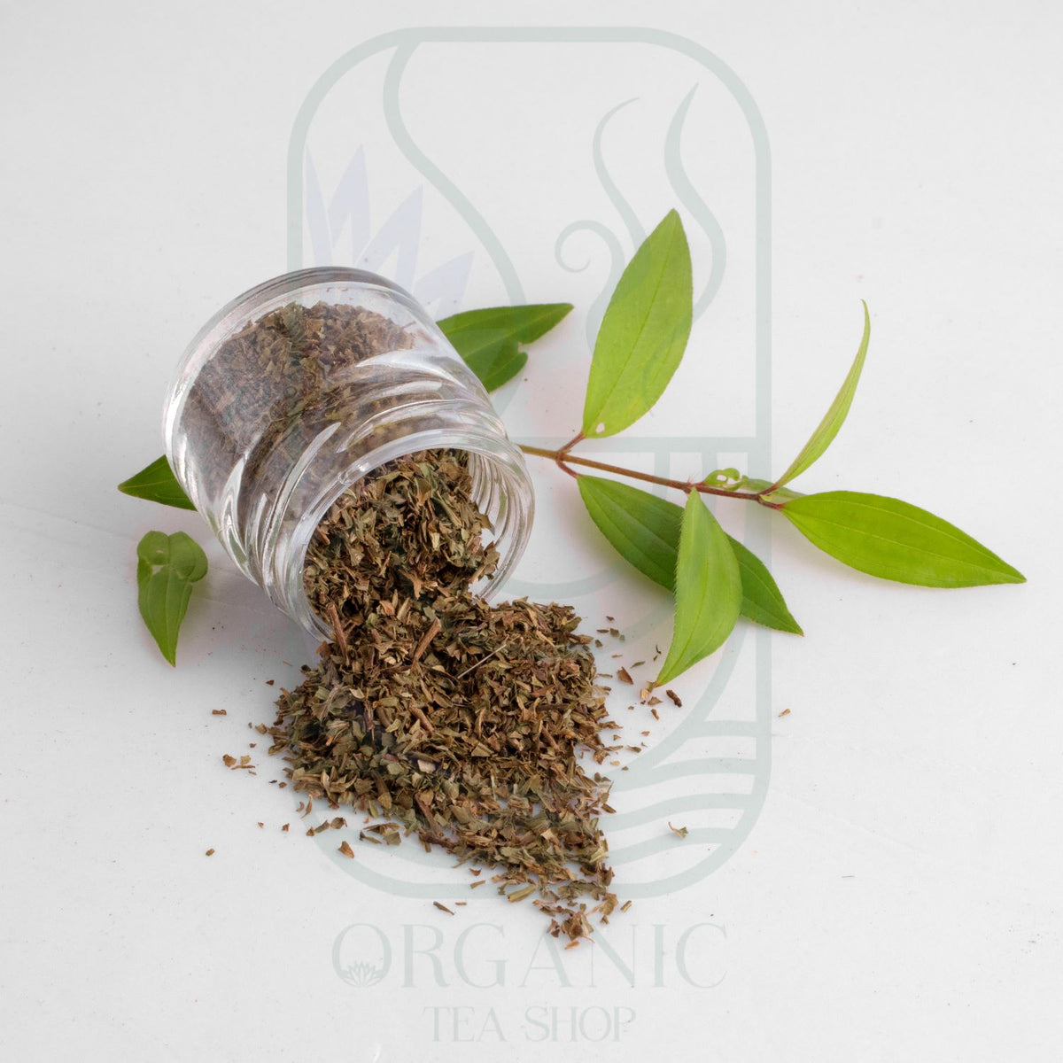Heen Bovitiya Leaves Tea Cut (Osbeckia octandra) – Premium Dried Leaves from Sri Lanka