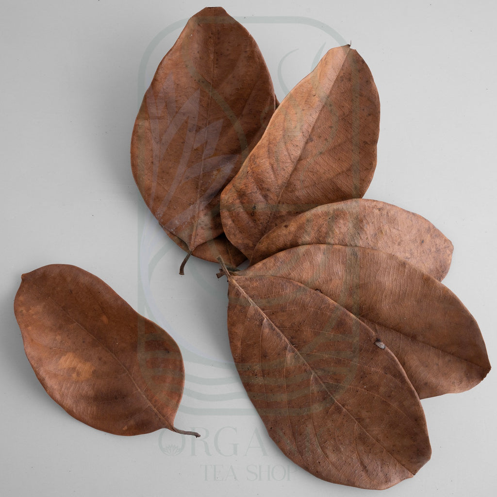Premium dried jackfruit leaves for aquarium use