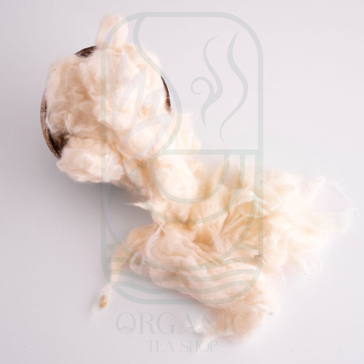 Natural kapok fiber Ceiba pentandra plant based filling