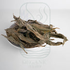Premium Dried Insulin Leaves (Costus igneus) from Sri Lanka