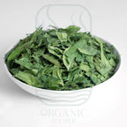 Dried Neem Leaves (Azadirachta indica) – Premium Herbal Leaves from Sri Lanka