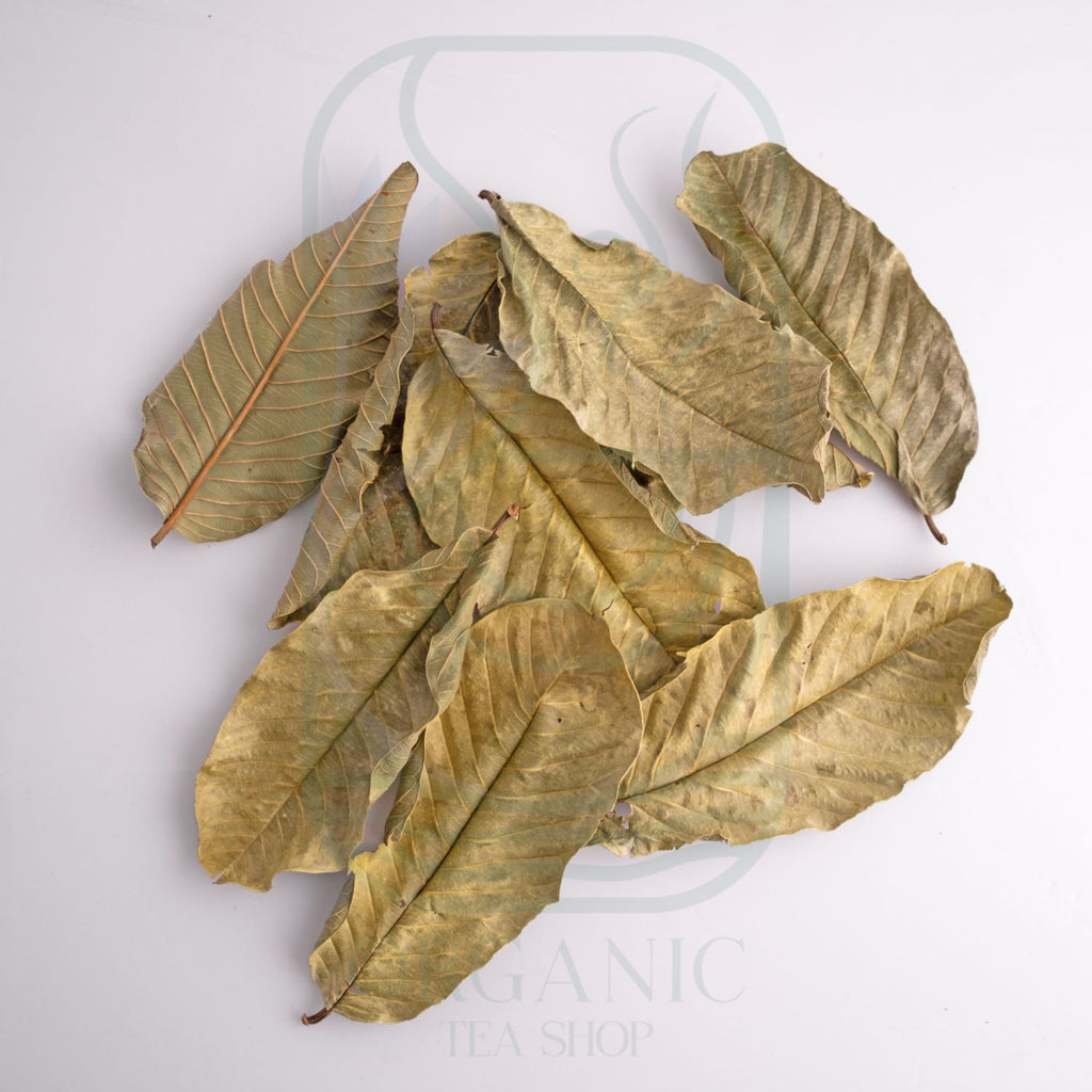 Premium Dried Guava Leaves (Psidium guajava) from Sri Lanka