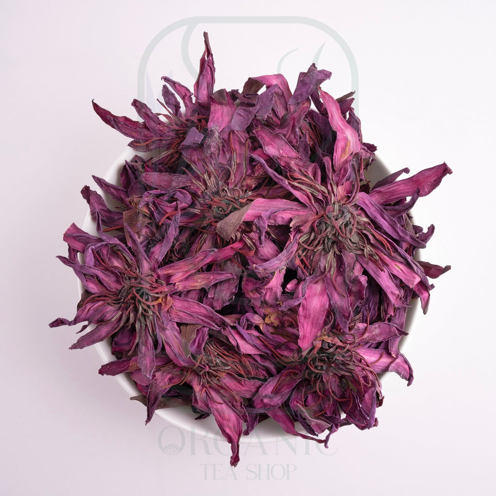 Whole Dried Red Water Lily Flowers from Sri Lanka