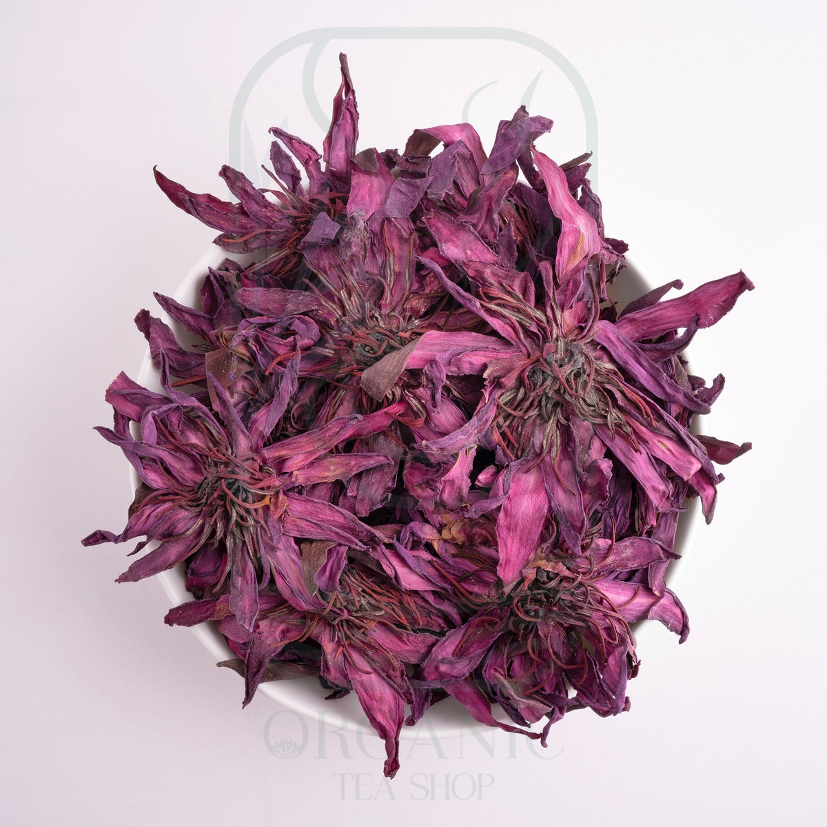 Whole Dried Red Water Lily Flowers from Sri Lanka