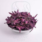 Red Water Lily Flowers (Nymphaea rubra) – Premium Dried Flowers from Sri Lanka