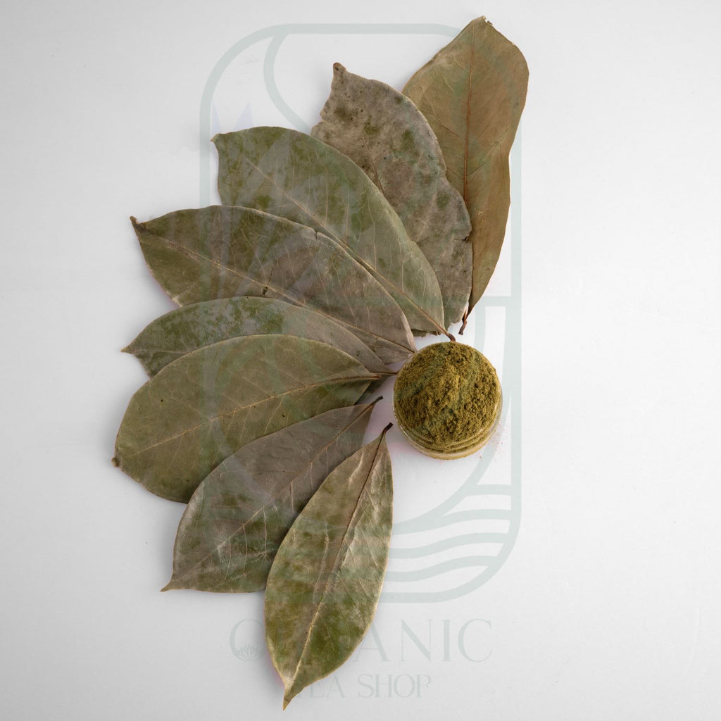 Soursop Leaves (Annona muricata) – Premium Dried Leaves from Sri Lanka