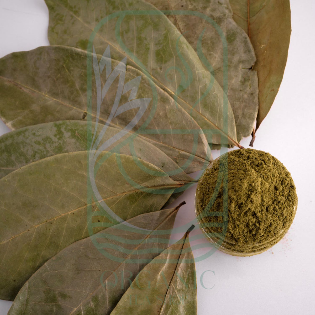 Dried Soursop Leaves for Herbal Infusions