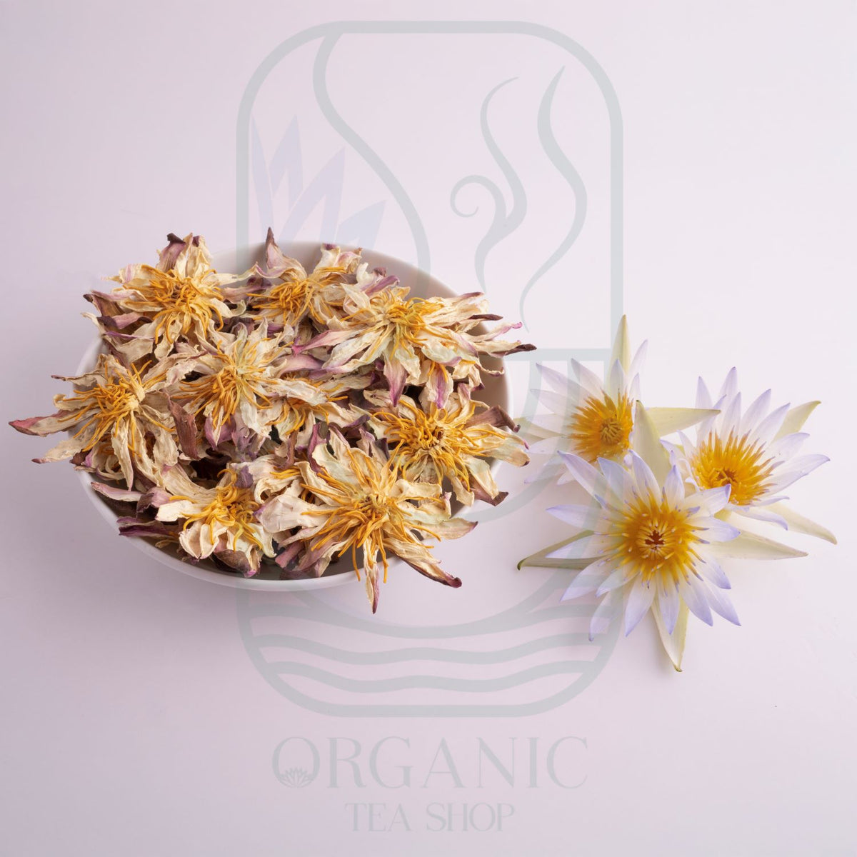 White Lily Flowers (Lilium candidum) – Premium Dried Flowers from Sri Lanka