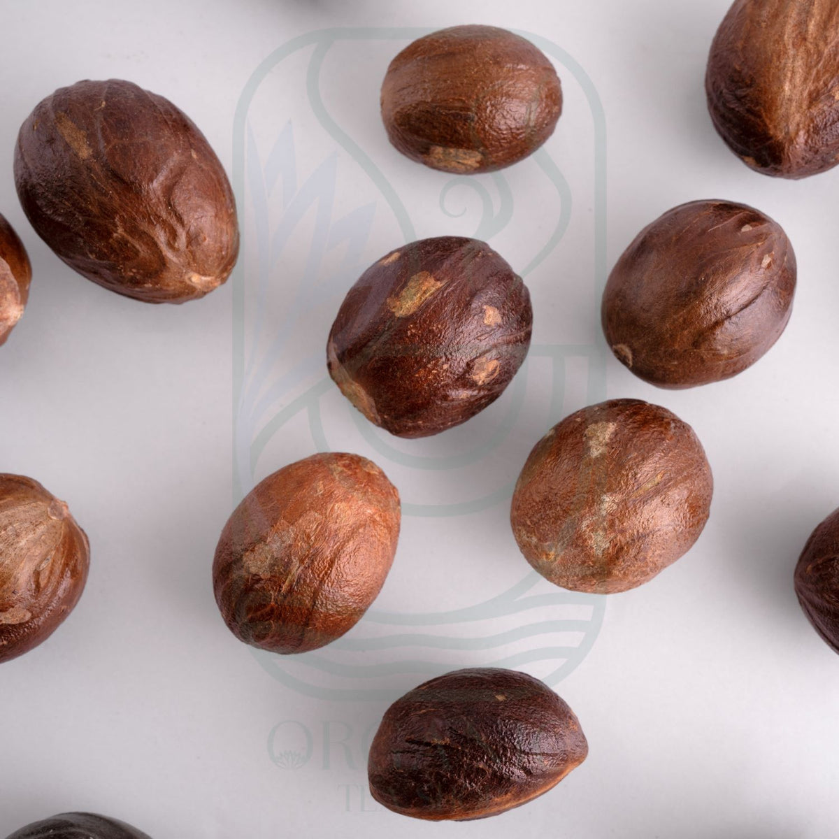 Whole nutmeg Myristica fragrans aromatic spice